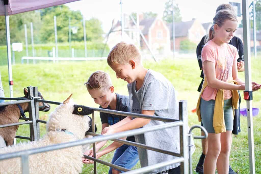 Kids petting sheep and goats at our holiday club with animals, enjoying outdoor activities